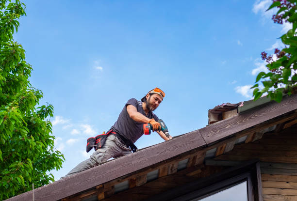 Best Roof Moss and Algae Removal  in Sappington, MO
