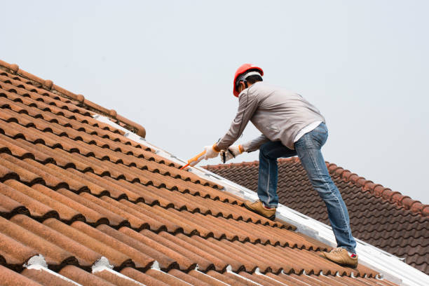 Best Roof Maintenance and Cleaning  in Sappington, MO